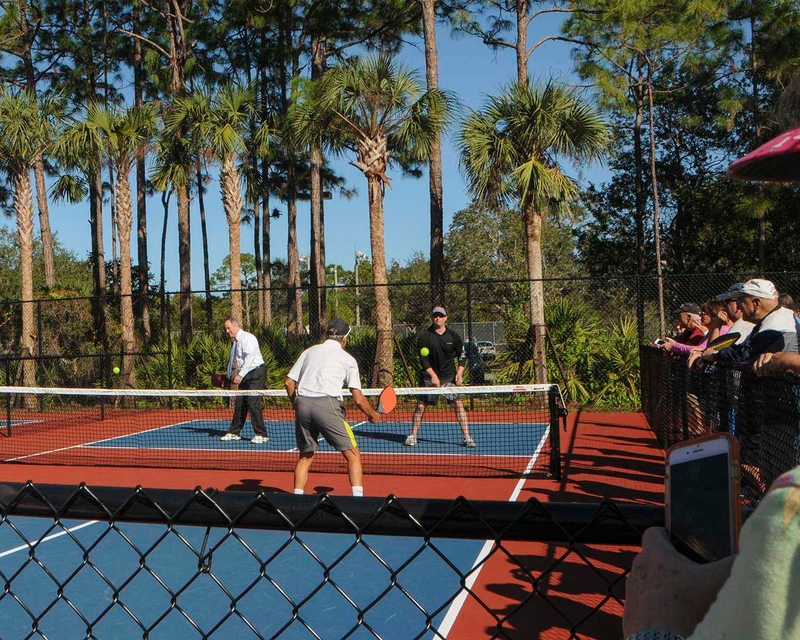 Pickleball Lessons: Beginner - Sports & Outdoors by Racqueteers 