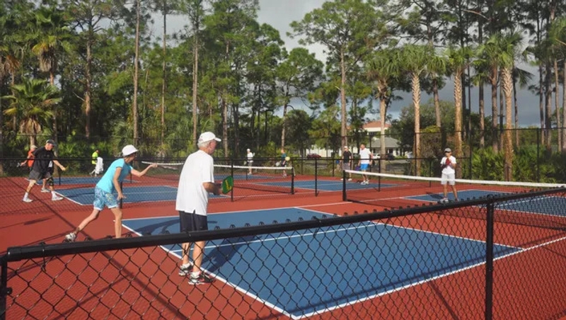 Pickleball Lessons: Beginner - Sports & Outdoors by Racqueteers 